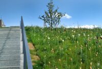 landesgartenschau 2026 sachsen anhalt