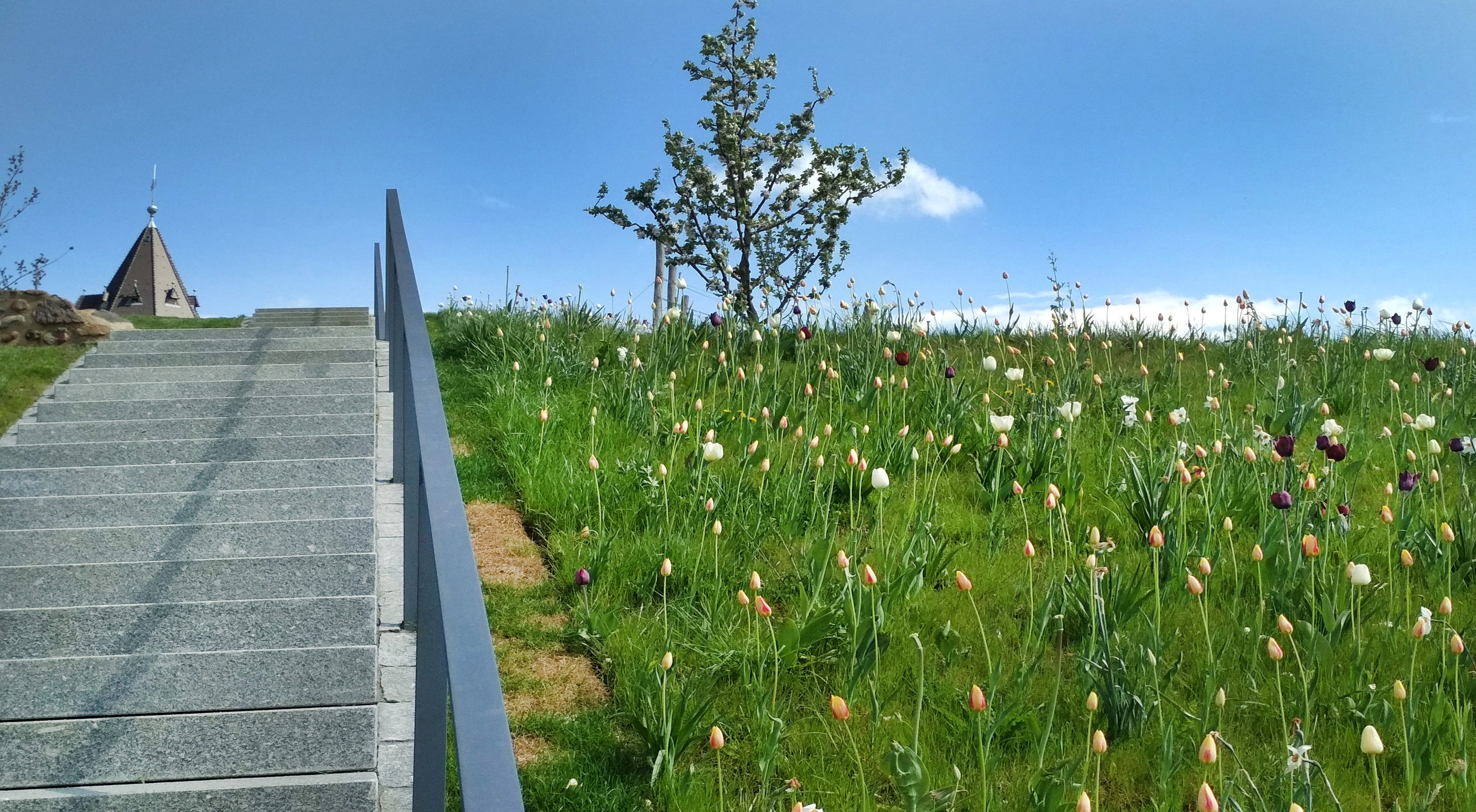  Landesgartenschau Burg, Sachsen-Anhalt – pro garten 