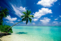 malediven januar 2026