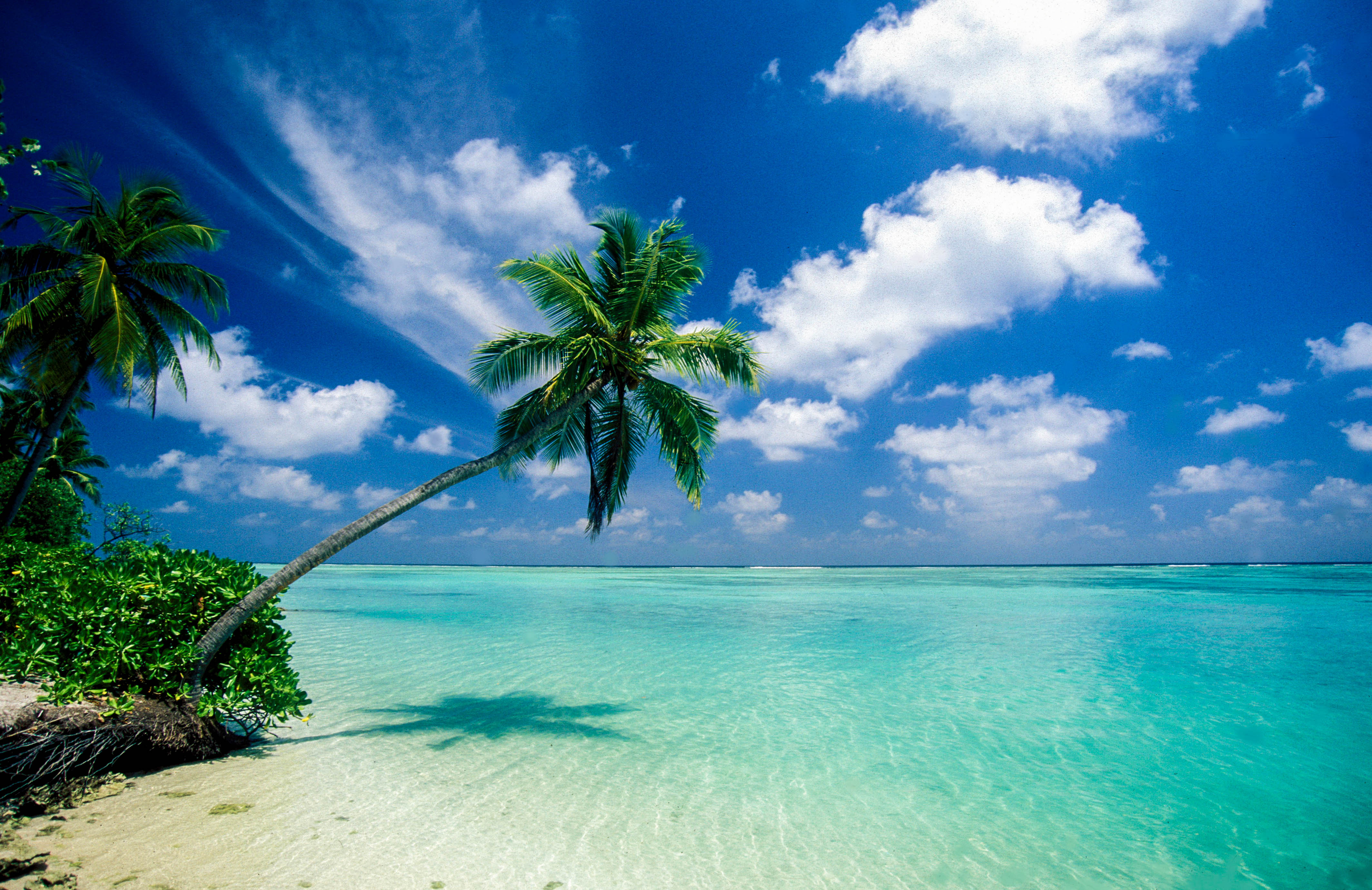  Malediven - Einmal Urlaub im Paradies, bitte! 